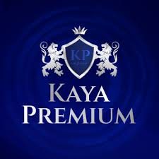 Kayapremiumcasino logo